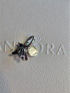 Pandora hummingbird charm